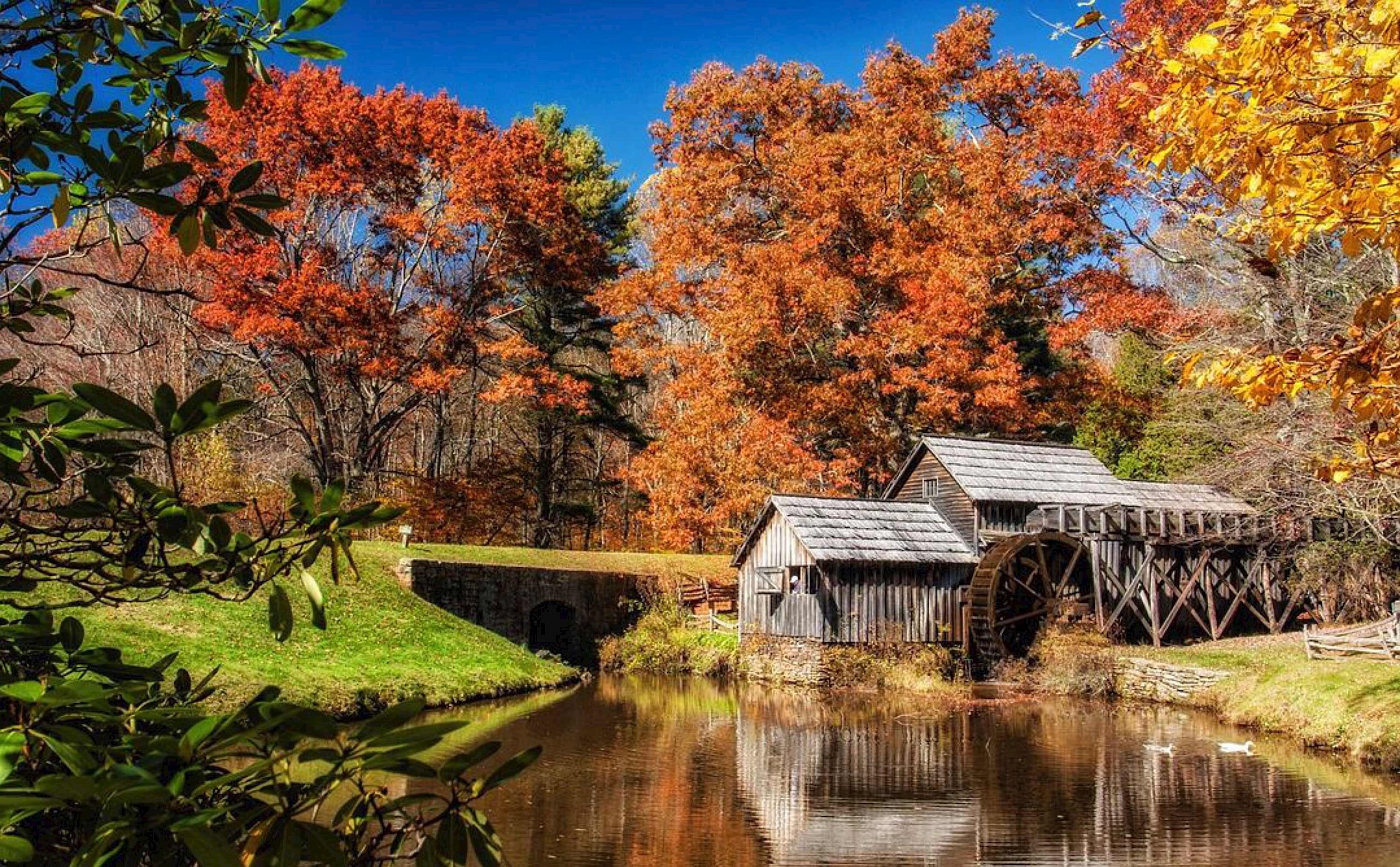 view-lake-charlottesville-usa.jpg