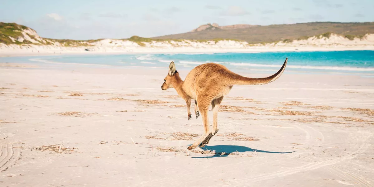 Australian Highlights Guided Tour