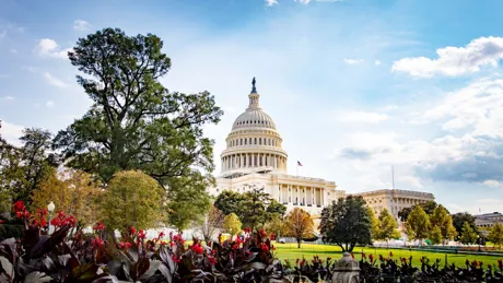 Gardens at The US Capitol, Washington DC