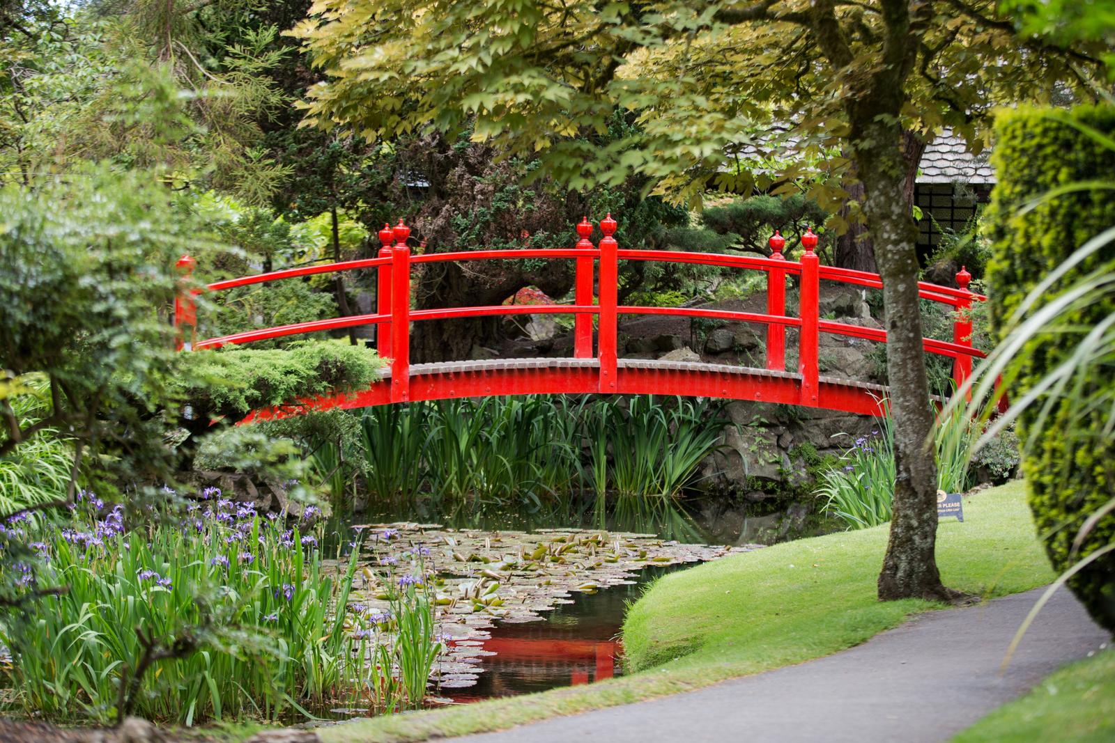 95_japanese-garden-kildare-ireland.jpg