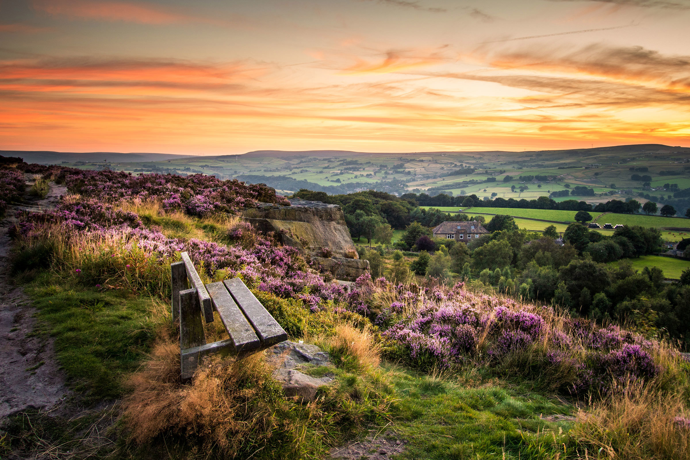 heather-field-cambridge-england.jpg