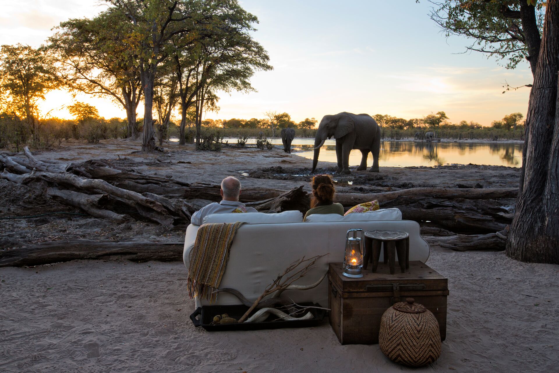Tourists sitting at sundown watching an elephant drinking at the waterhole in front of a safari lodge