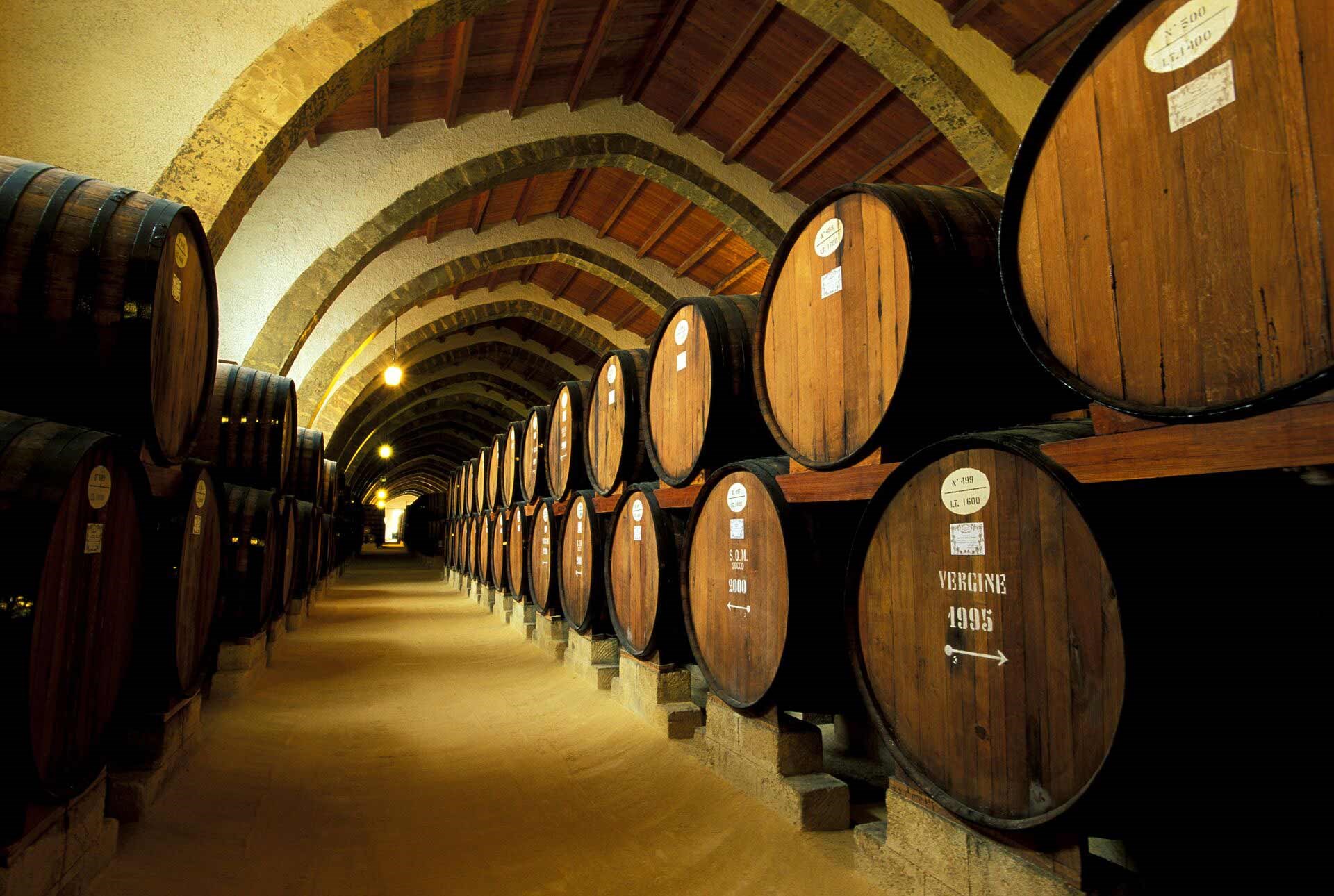 Wooden wine barrels stacked in Marsala cellar with arched ceiling