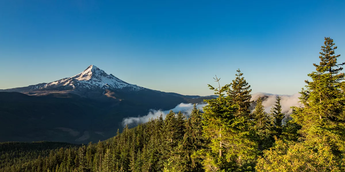 Scene from the flanks of Mt. Hood, Portland, Oregon, USA