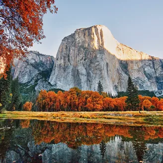 Yosemite National Park 164289875