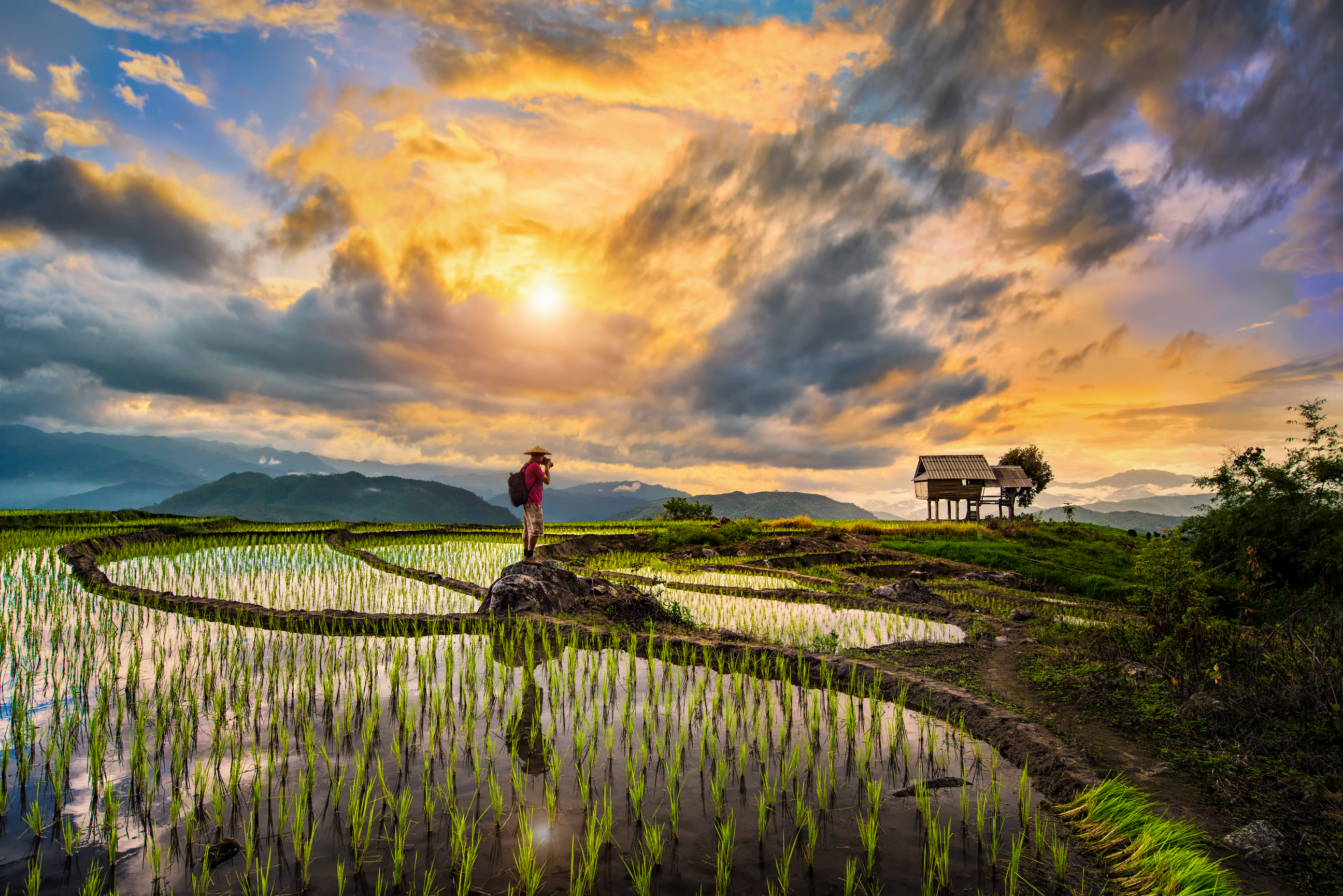 day-hero-beautiful-step-of-rice-terrace-paddle-chiang-mai-thailand-841581174.webp