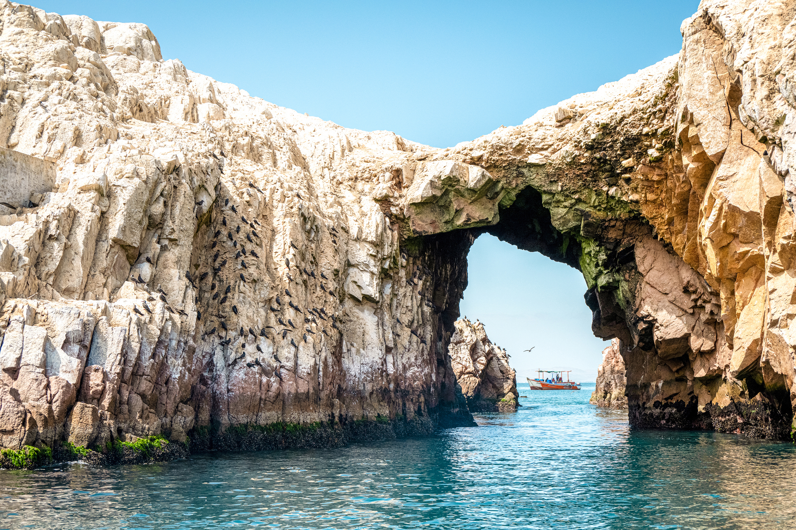 gettyimages-1749657747-ballestas-islands.jpg