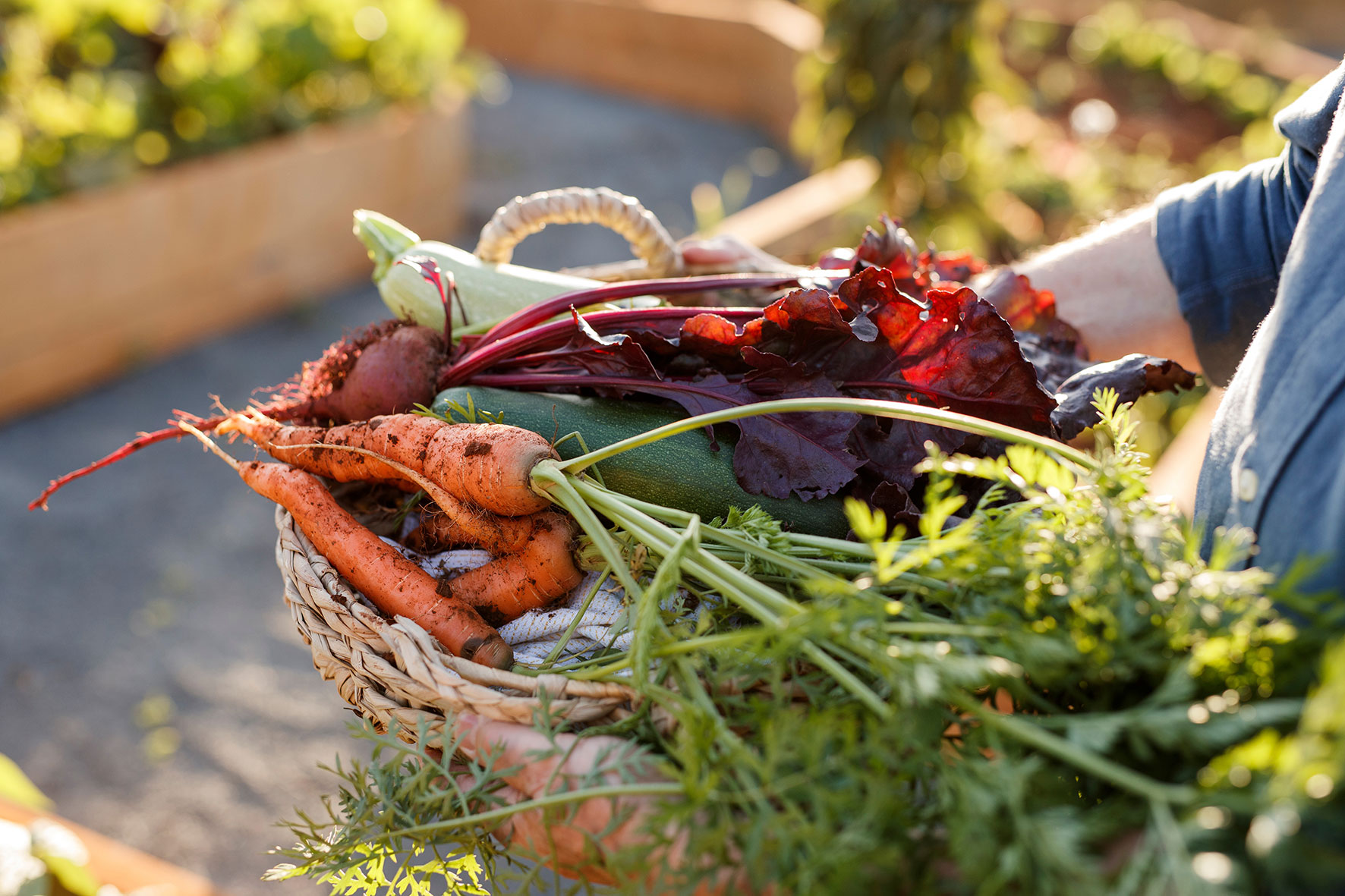 bread-butter-farm-lunch-experience-shelburne-usa-1.jpg