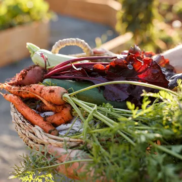 bread-butter-farm-lunch-experience-shelburne-usa-1.jpg