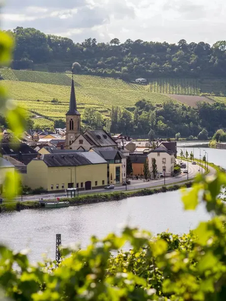 Machtum Village Amidst Wineries, Germany