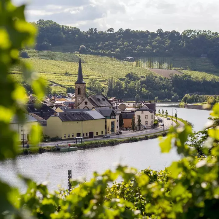 Machtum Village Amidst Wineries, Germany