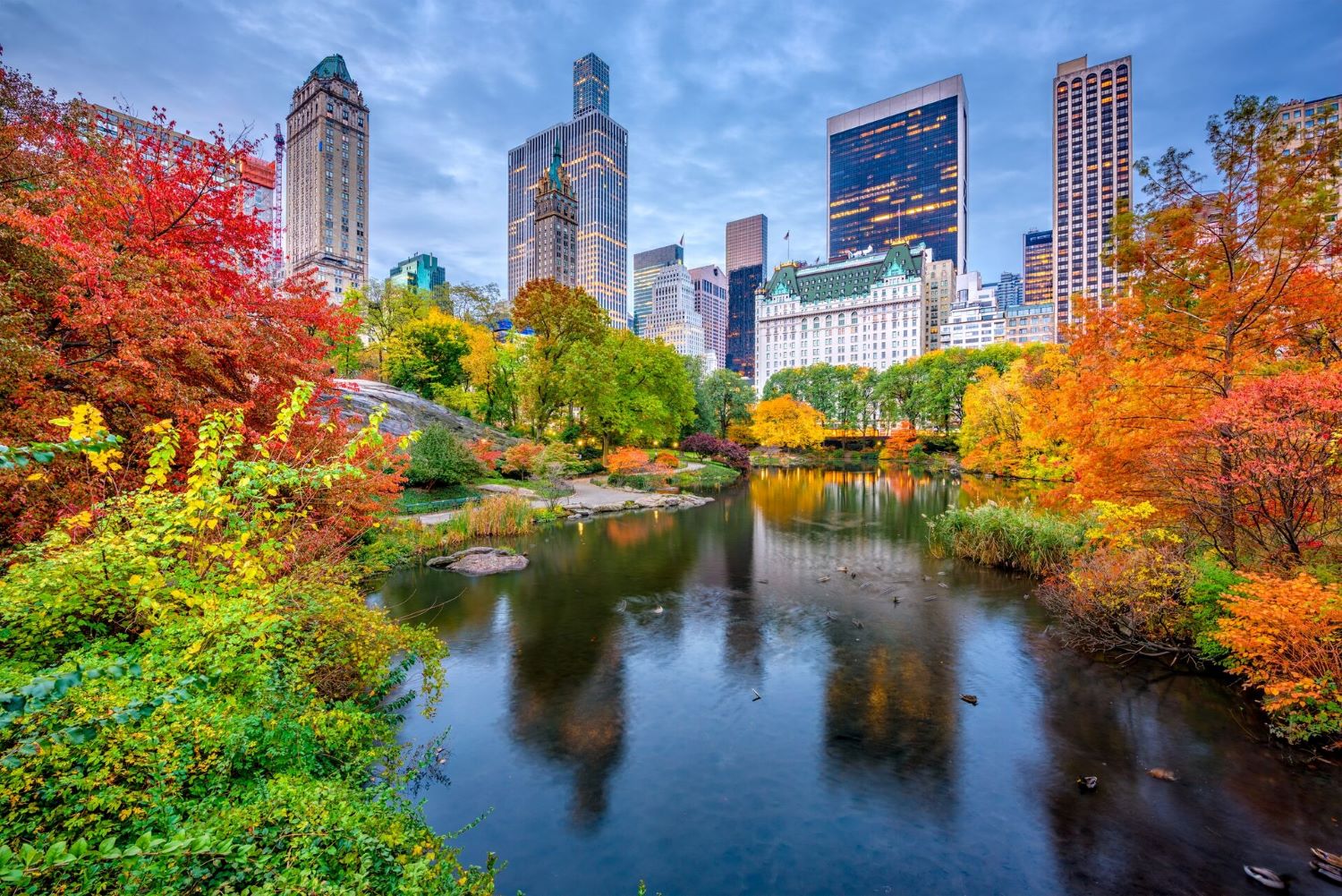 Central Park and surrounding skyscrapers in New York, USA