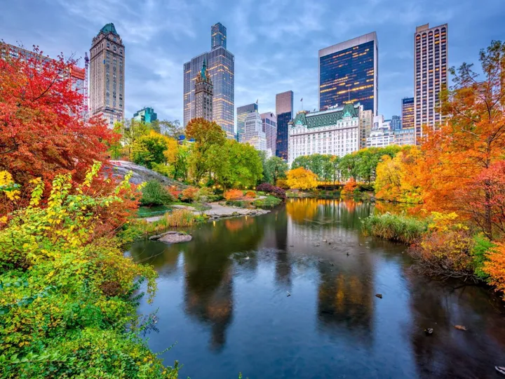 Central Park and surrounding skyscrapers in New York, USA