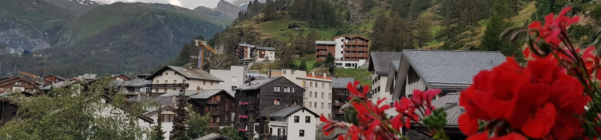 2023 Austria Daphnerossouw Bynder