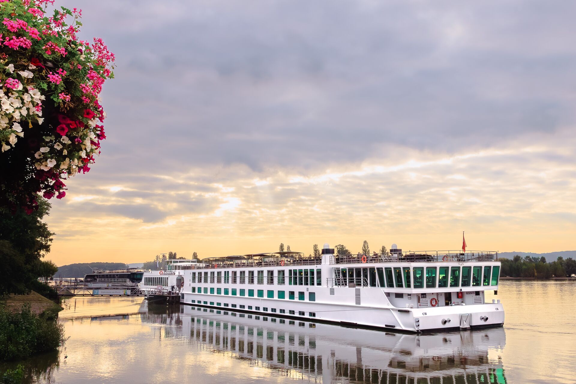 Boat Docked In Rüdesheim