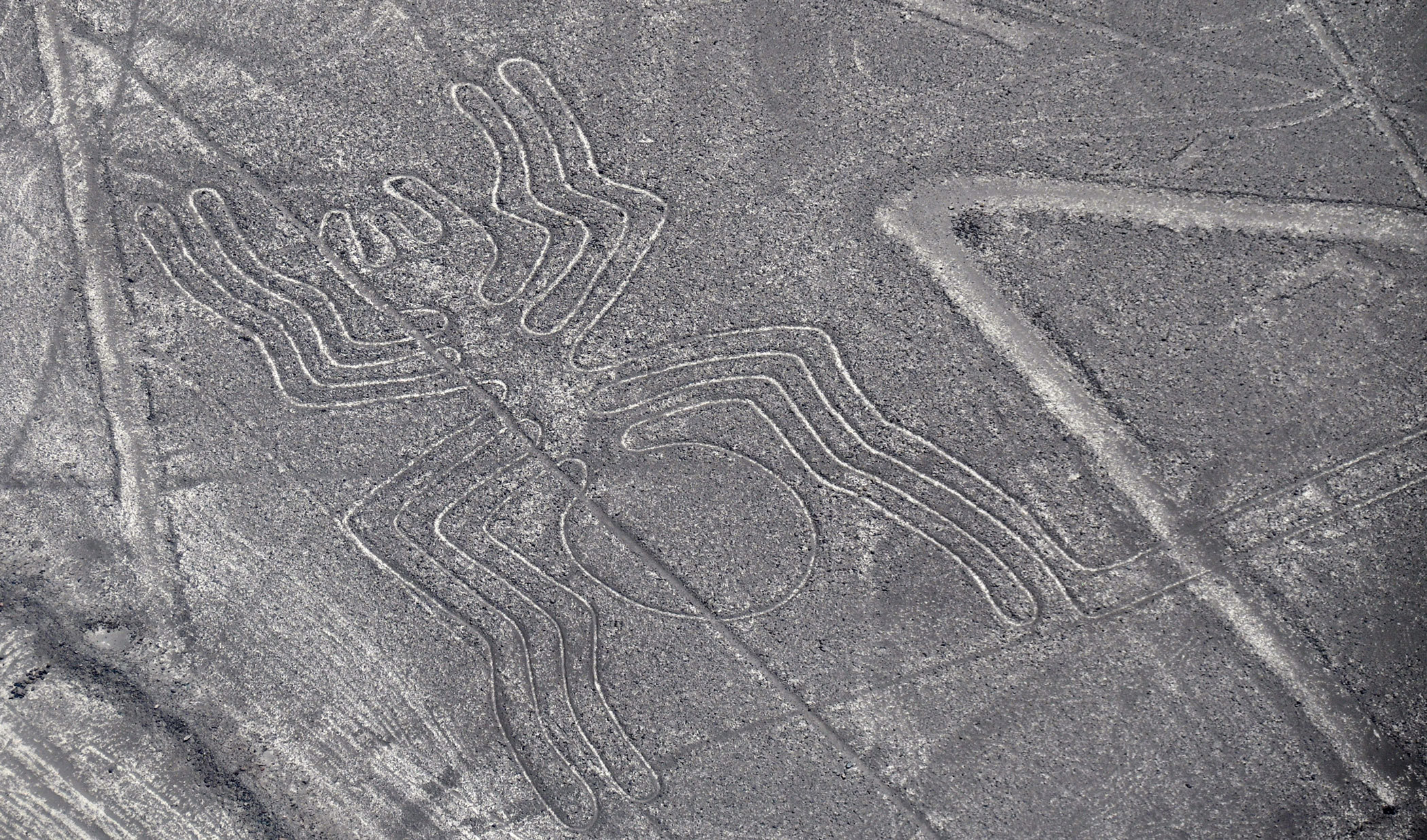 spider-geoglyph-shot-over-nazca-peru.jpg