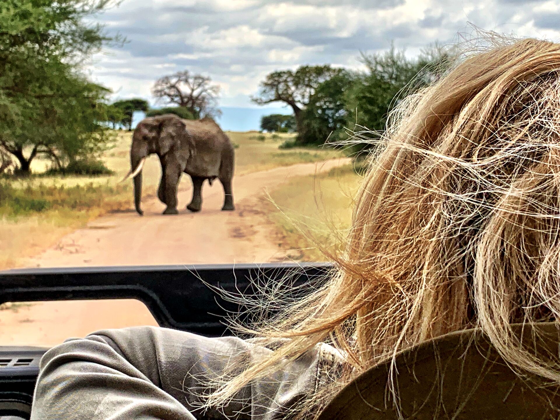 Woman looking at an elephant from a jeep while of Safari in Africa