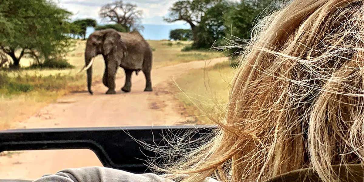 Woman looking at an elephant from a jeep while of Safari in Africa