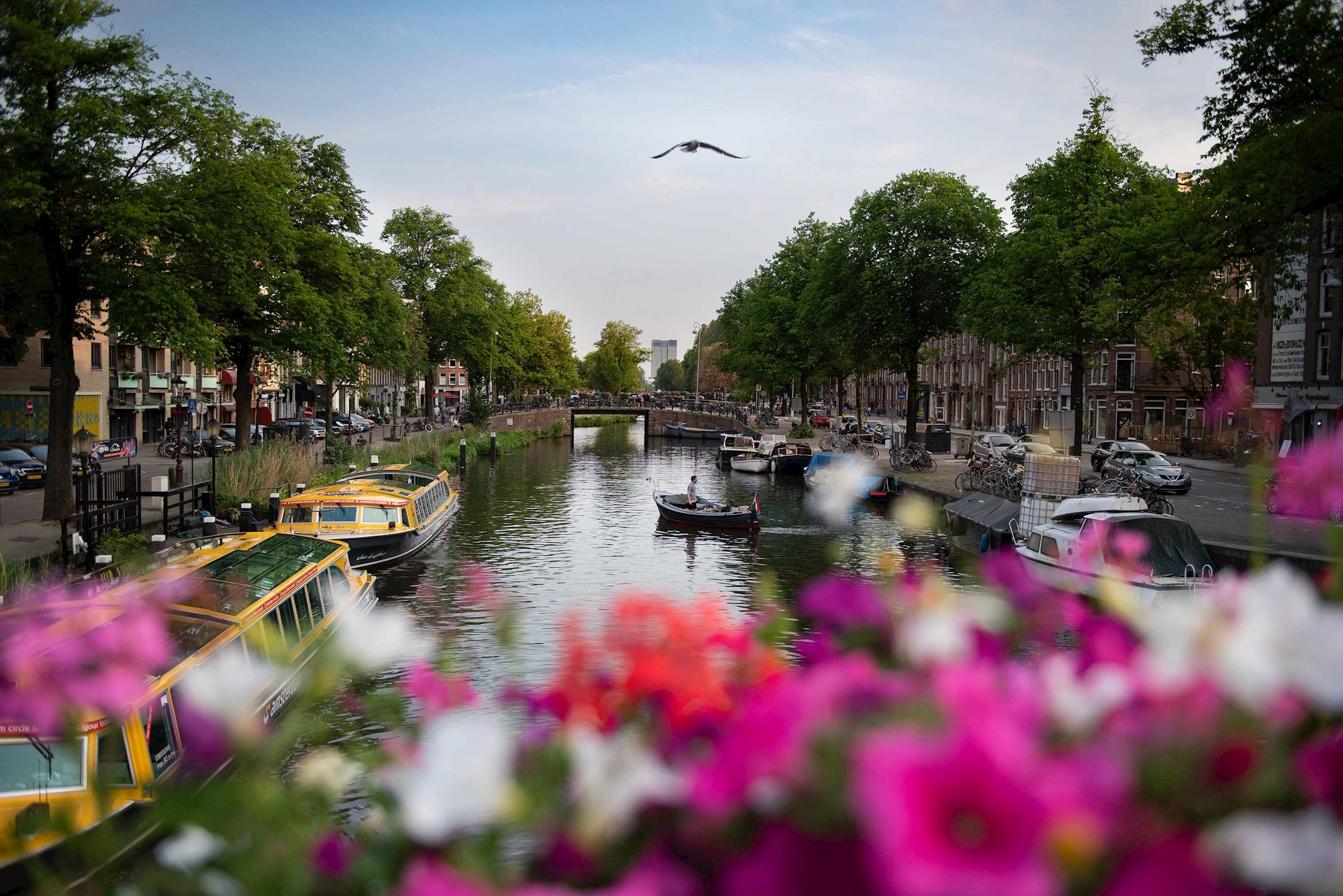 enjoy-private-cruise-glass-roofed-boat-travels-historic-canal-ring-amsterdam-netherlands.jpg