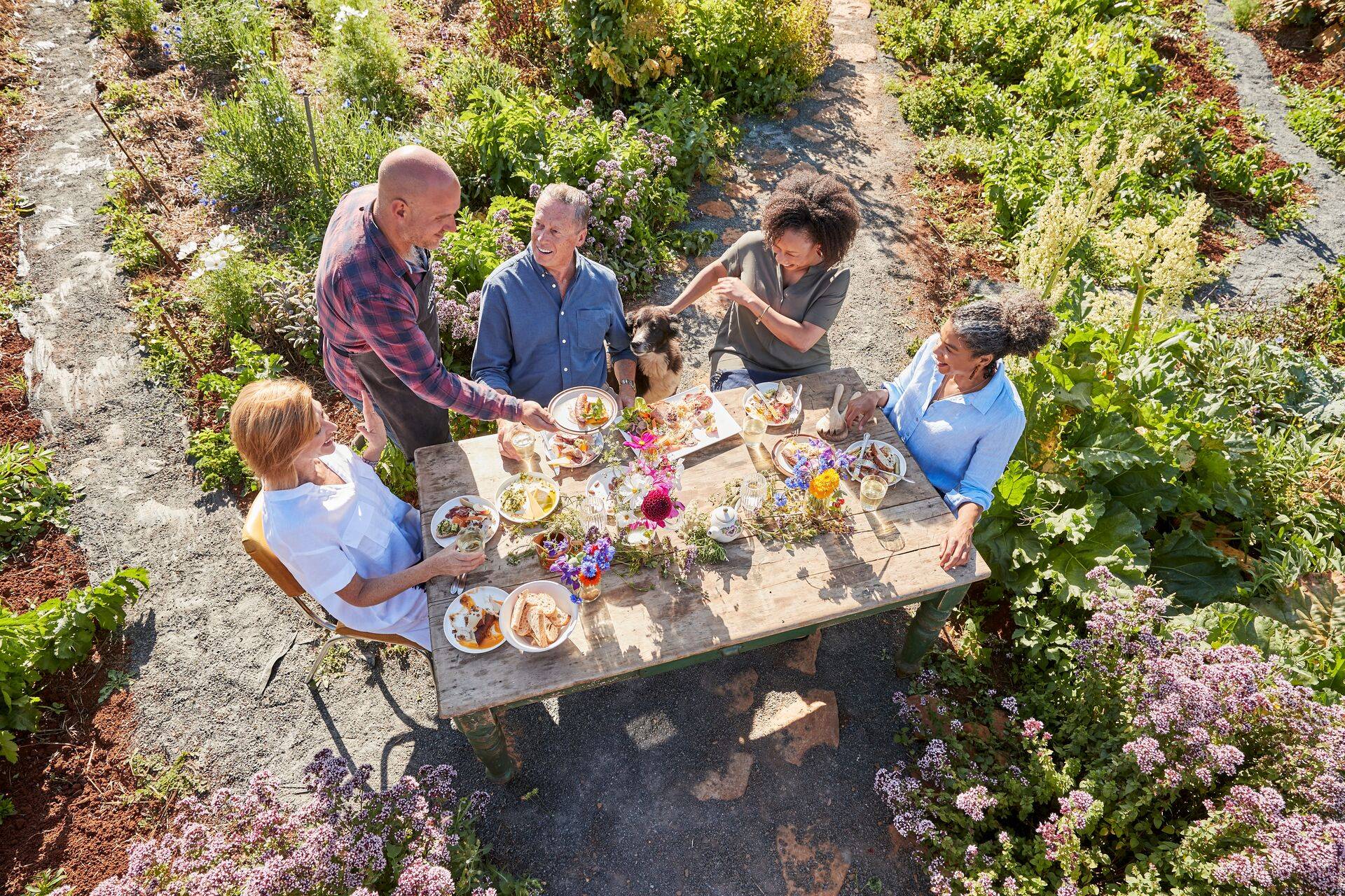 Guests dining on Mount Gnomon Farm surrounded by flowers and herbs in Tasmania, Australia