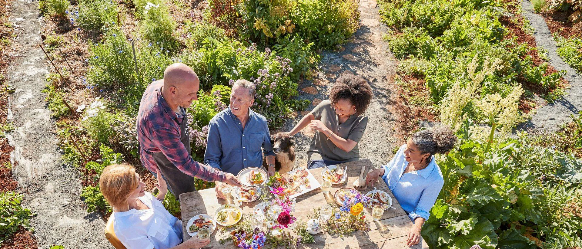 Guests dining on Mount Gnomon Farm surrounded by flowers and herbs in Tasmania, Australia