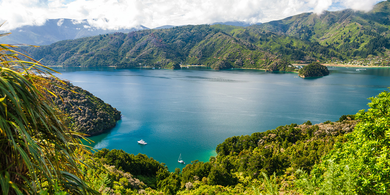 queen-charlotte-sound-day-7.jpg