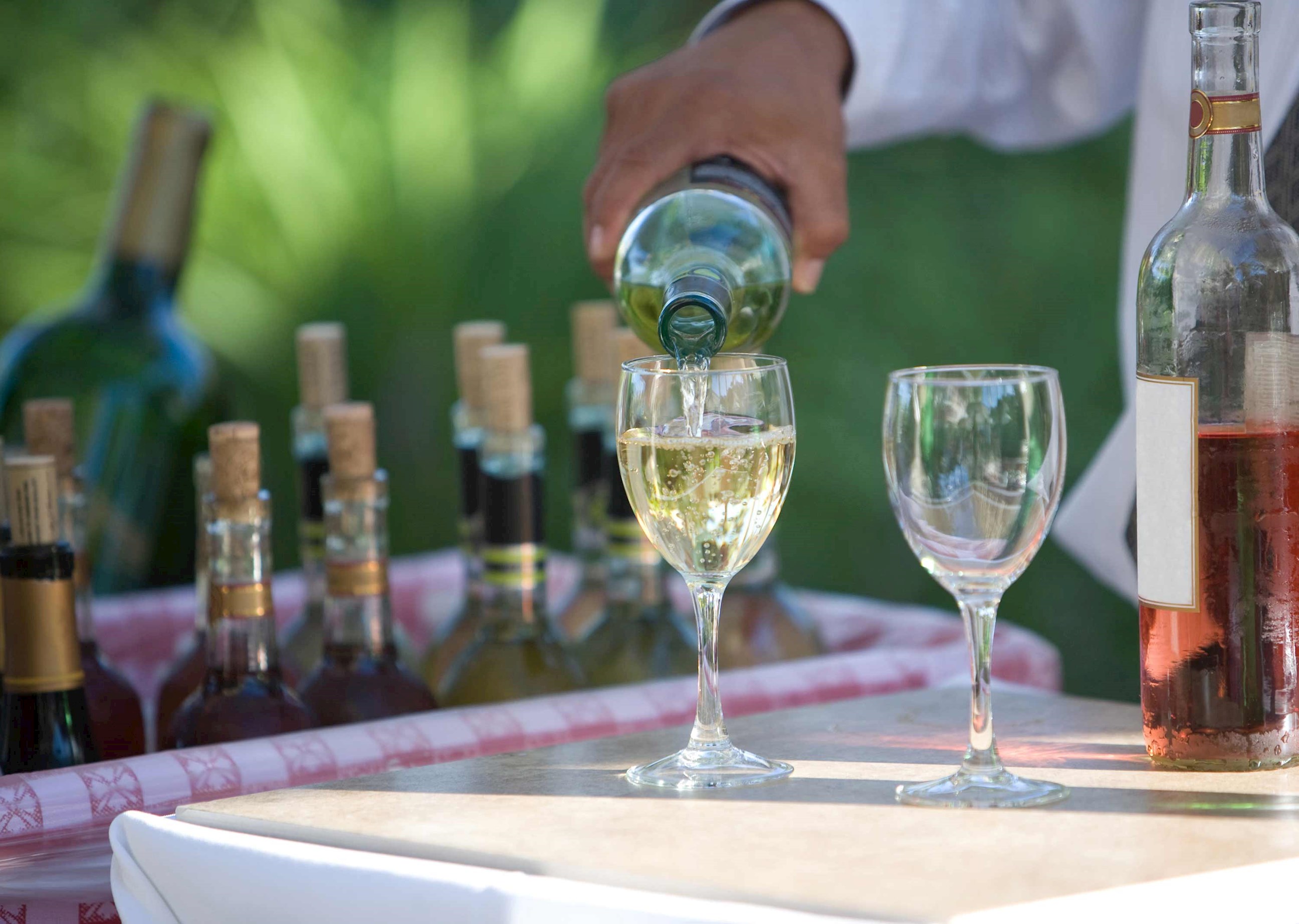 Pouring white wine in Adelaide, Australia