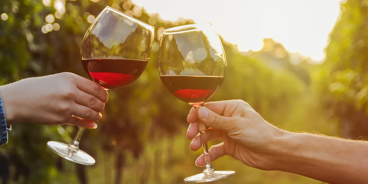 Two Hands Clinking Red Wine Glass In A Vineyard During Sunset