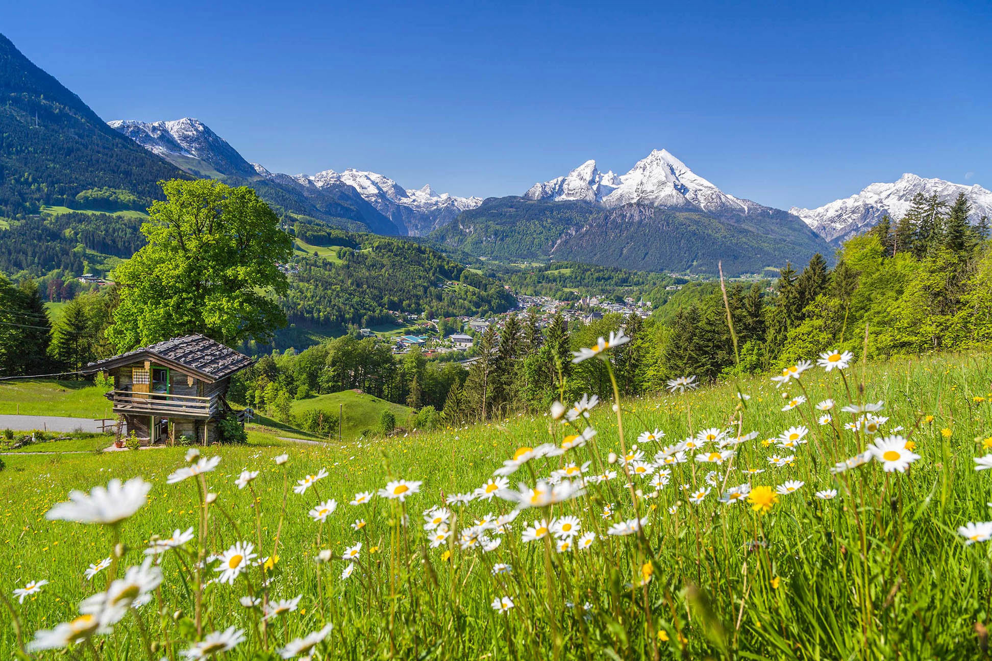 A scenic view of the Salzburg lake district