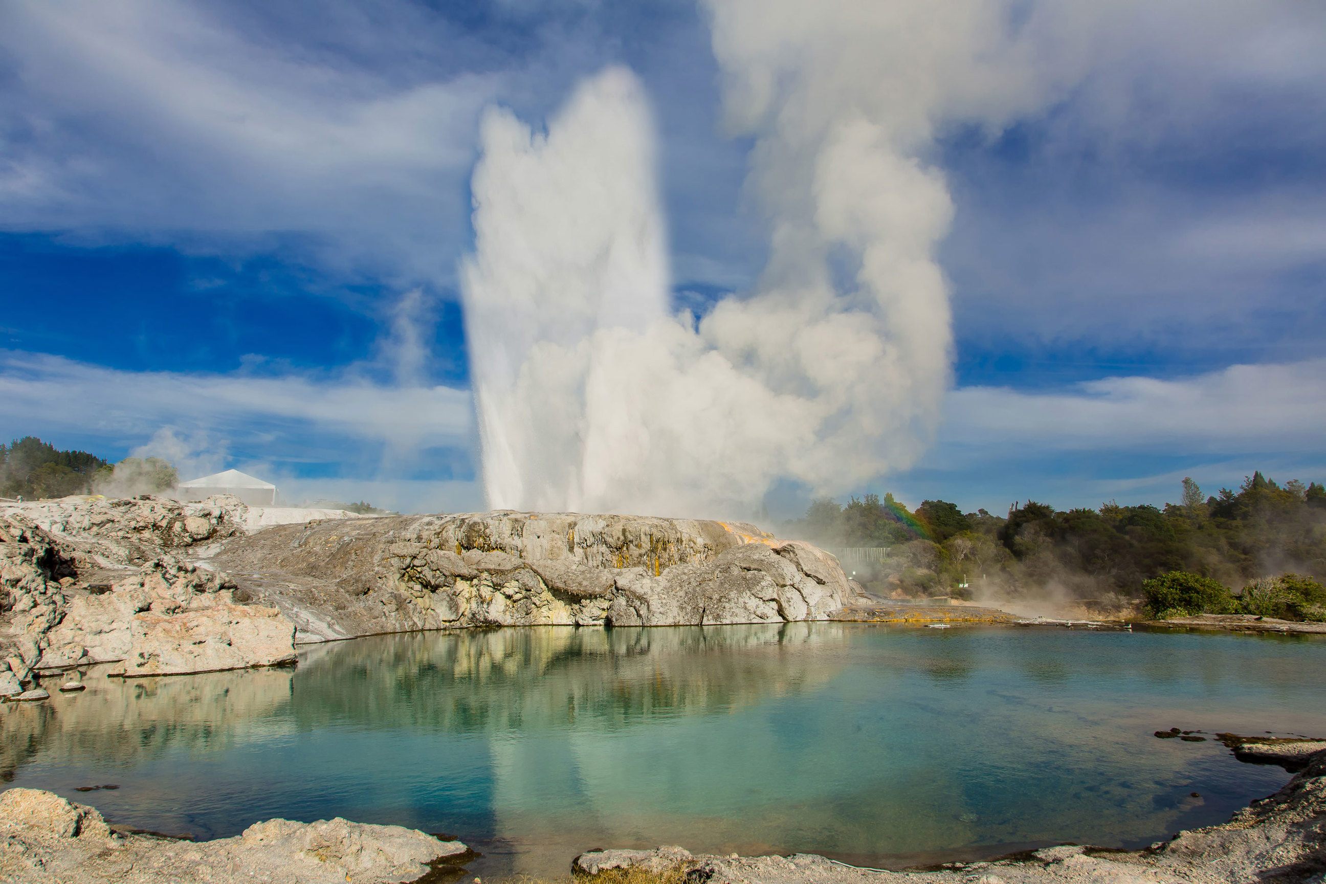 pohutu-geyser-te-puia-rotorua-new-zealand.jpg