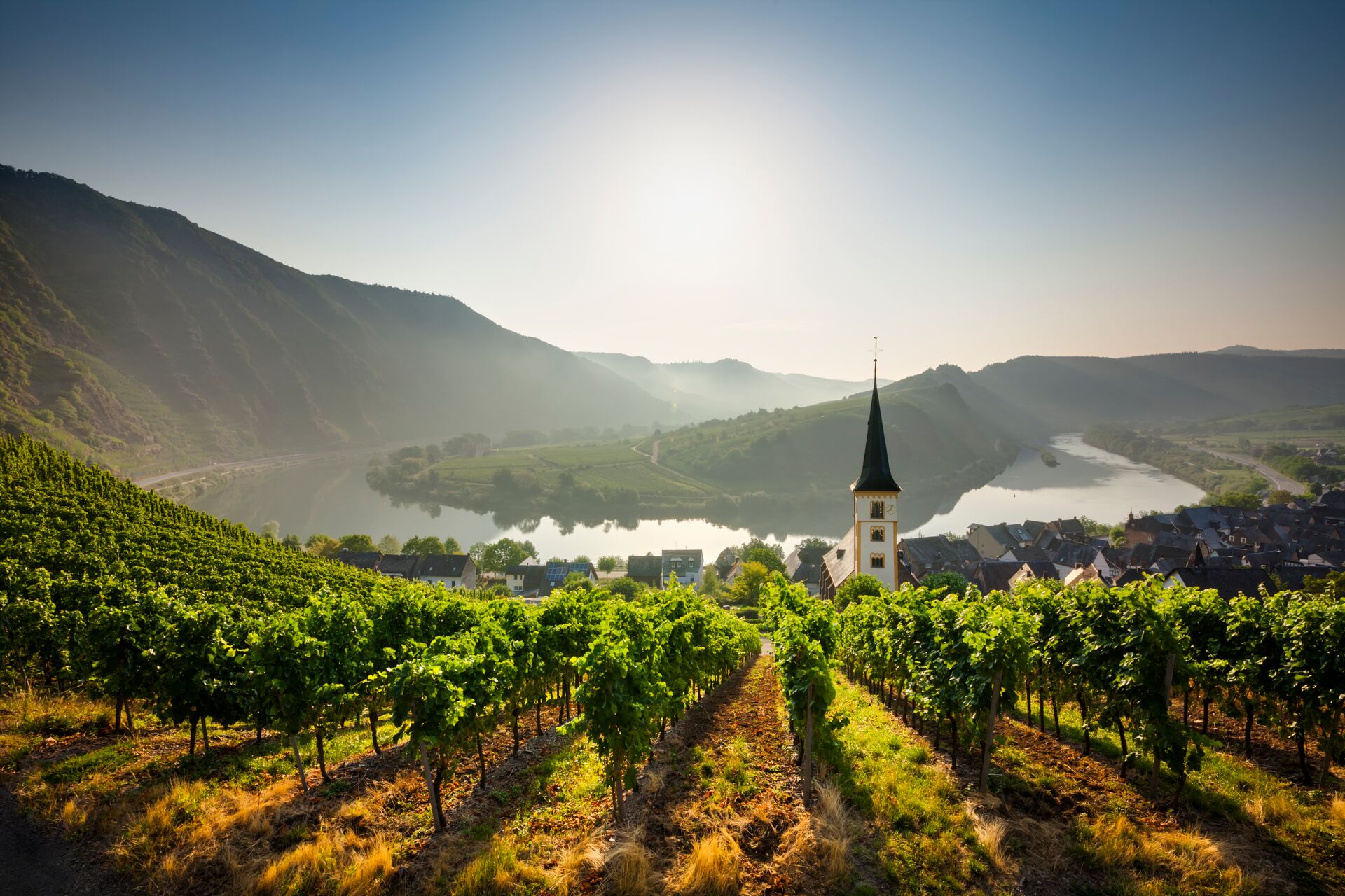 Bremm at sunrise with vineyards in the foreground and the Rhine river in the background
