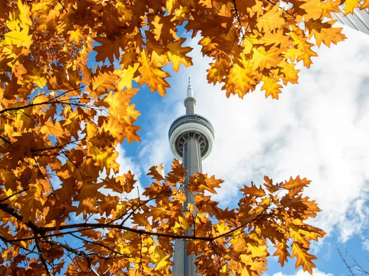 Autumn In Canada