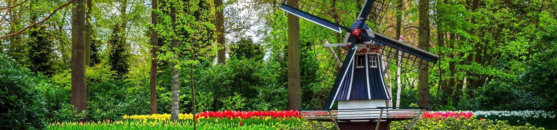 Keukenhof Park