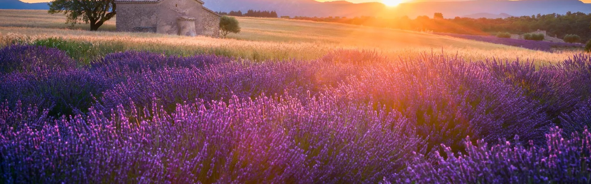 Provence France