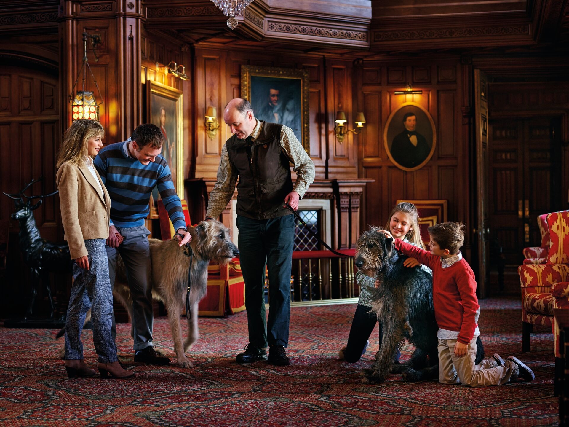 Wolfhounds Irish 