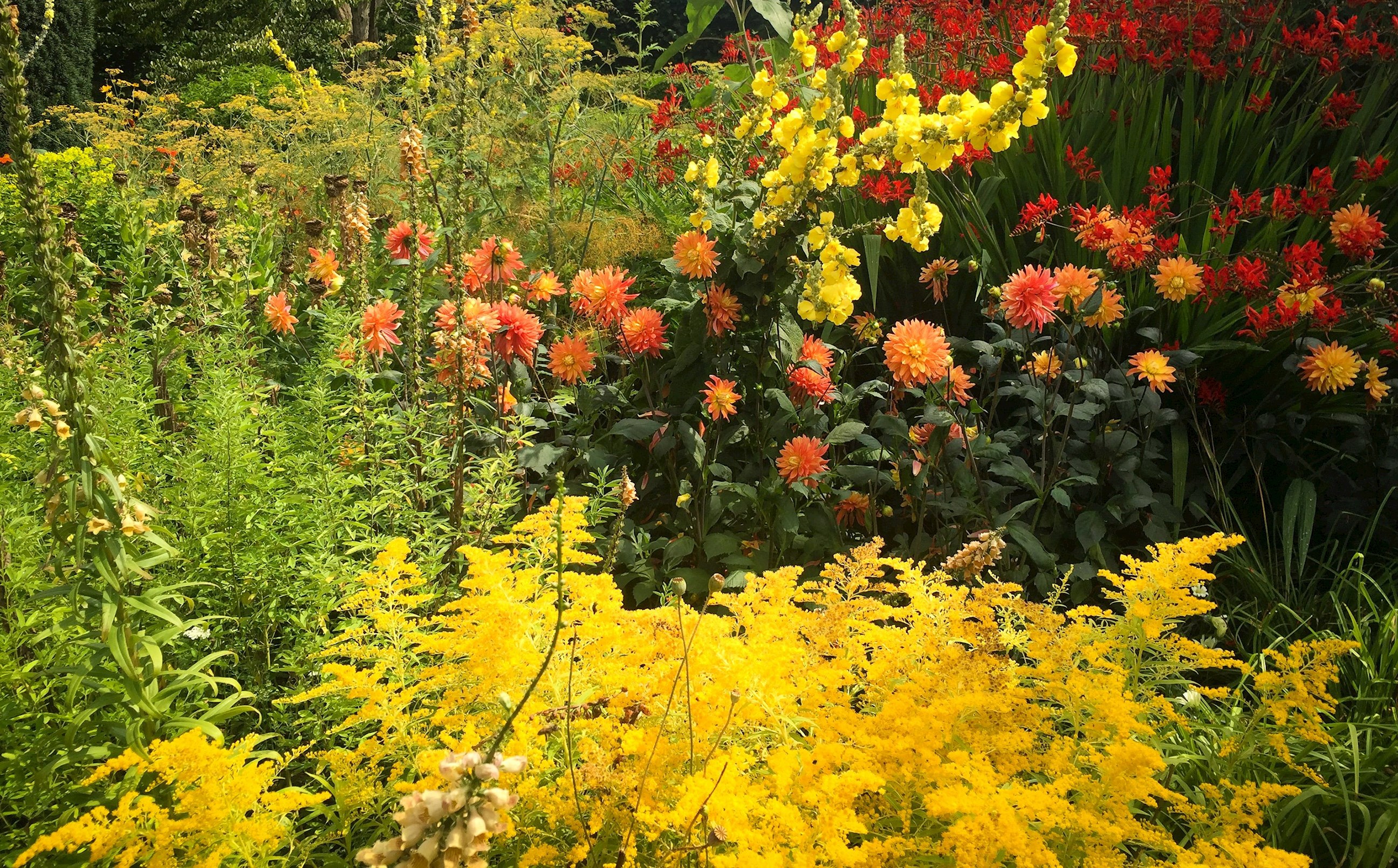 sissinghurst-kent-england.jpg