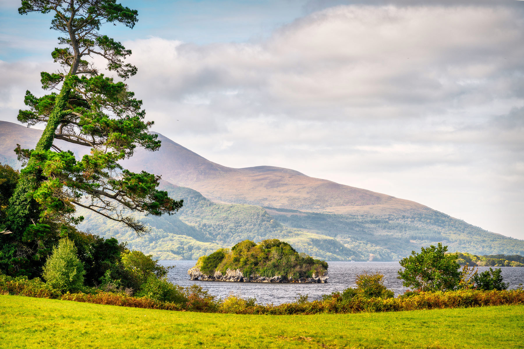 muckross-park-killarney-national-park-county-kerry-ireland.jpg
