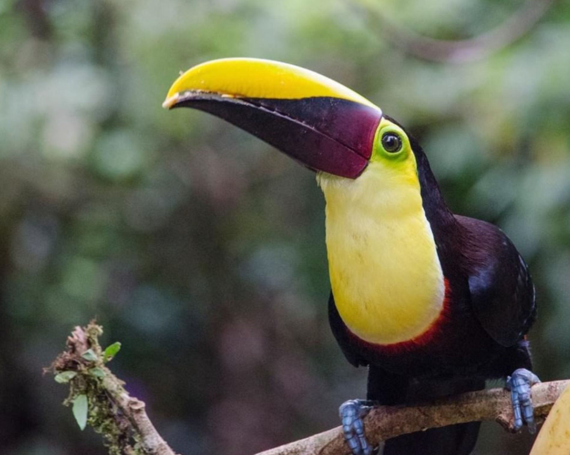 Costa Rica Family Vacation