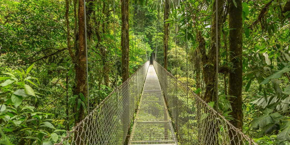 Watch A Presentation By Monteverde Quaker Pioneer Descendants At El Establo Mountain Hotel In Monteverde Cloud Forest Costa Rica