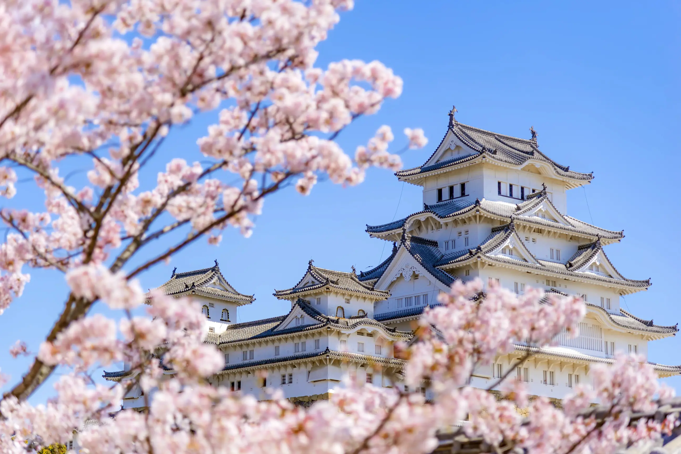 day-hero-himeji-castle-himeji-japan.webp