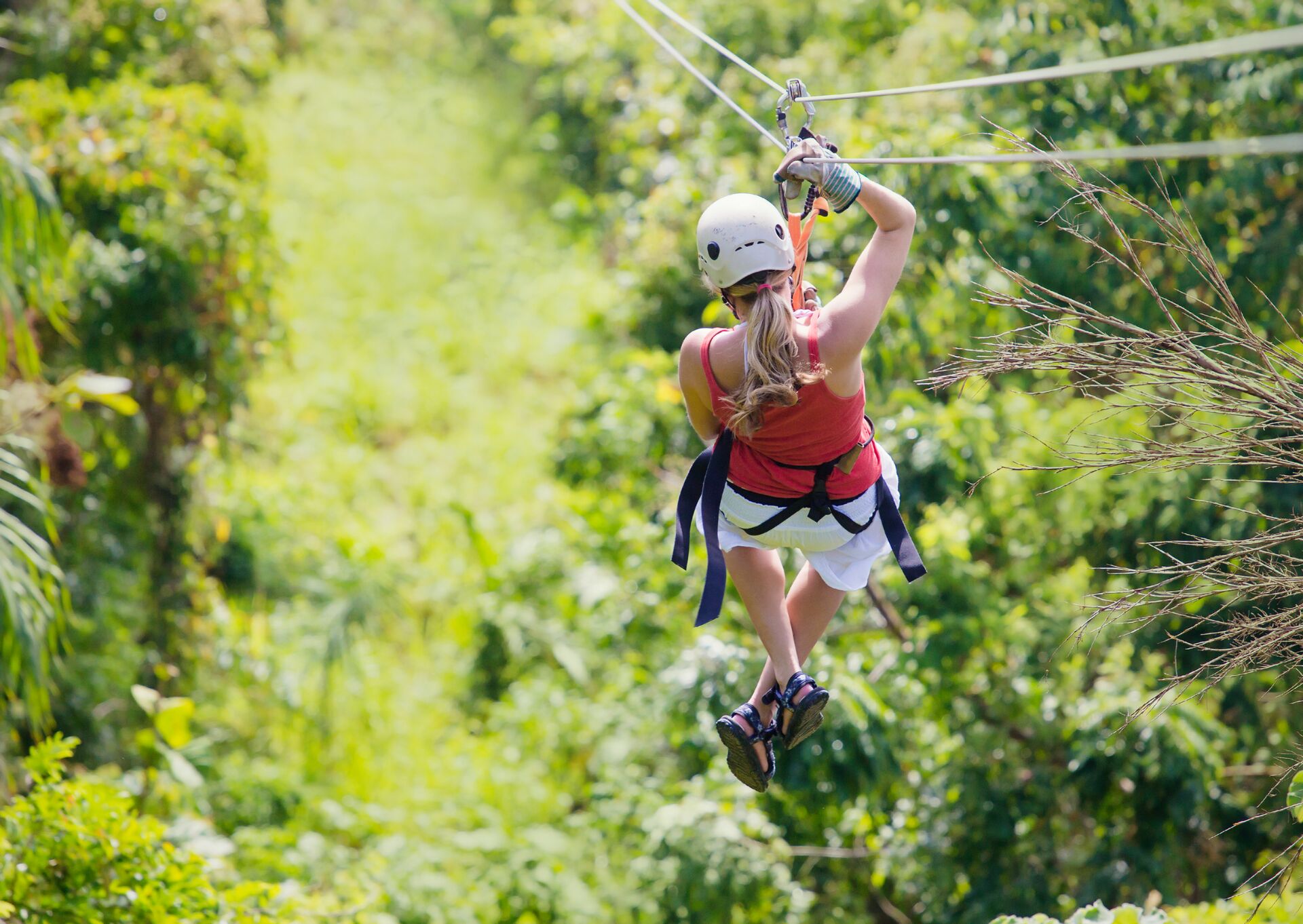 Woman Going On A Zipline in the Jungle