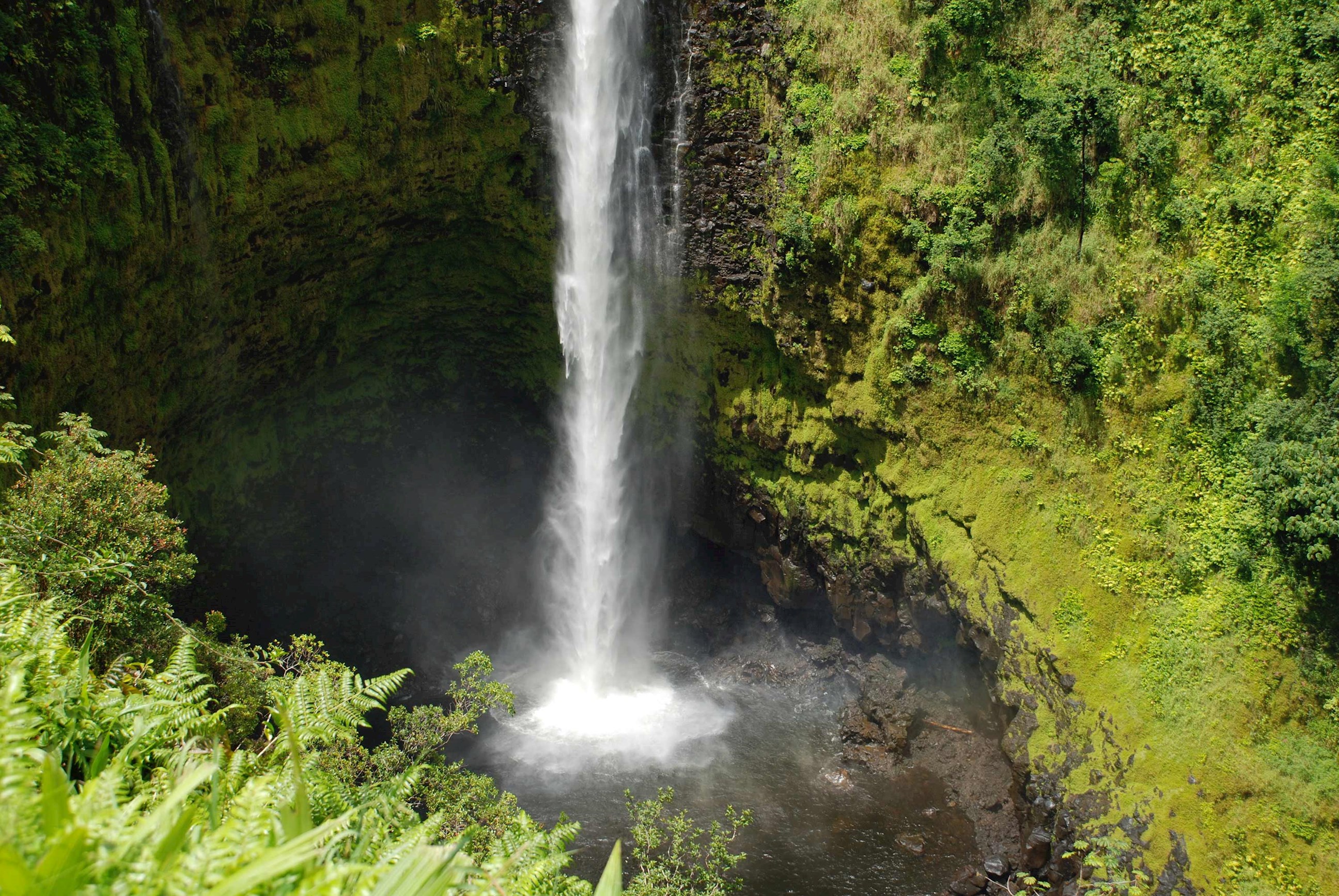 take-kohala-waterfalls-adventure-see-stunning-beauty-with-lunch-usa.jpg