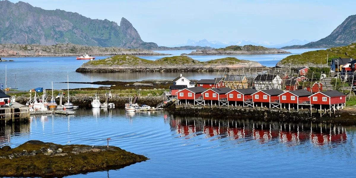 Lofoten Dream 
