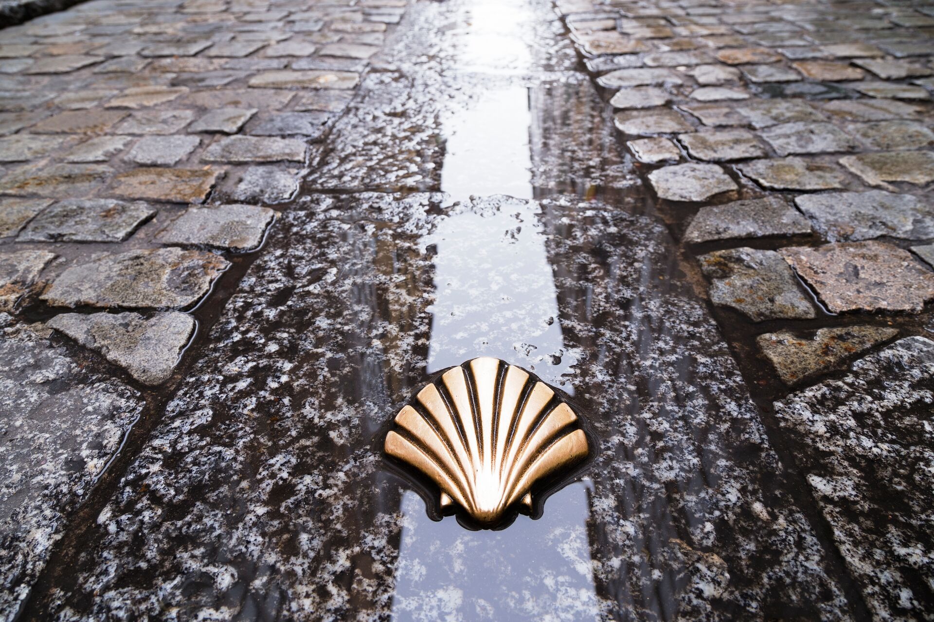 large-symbol-of-the-camino-de-santiago-spain.jpg