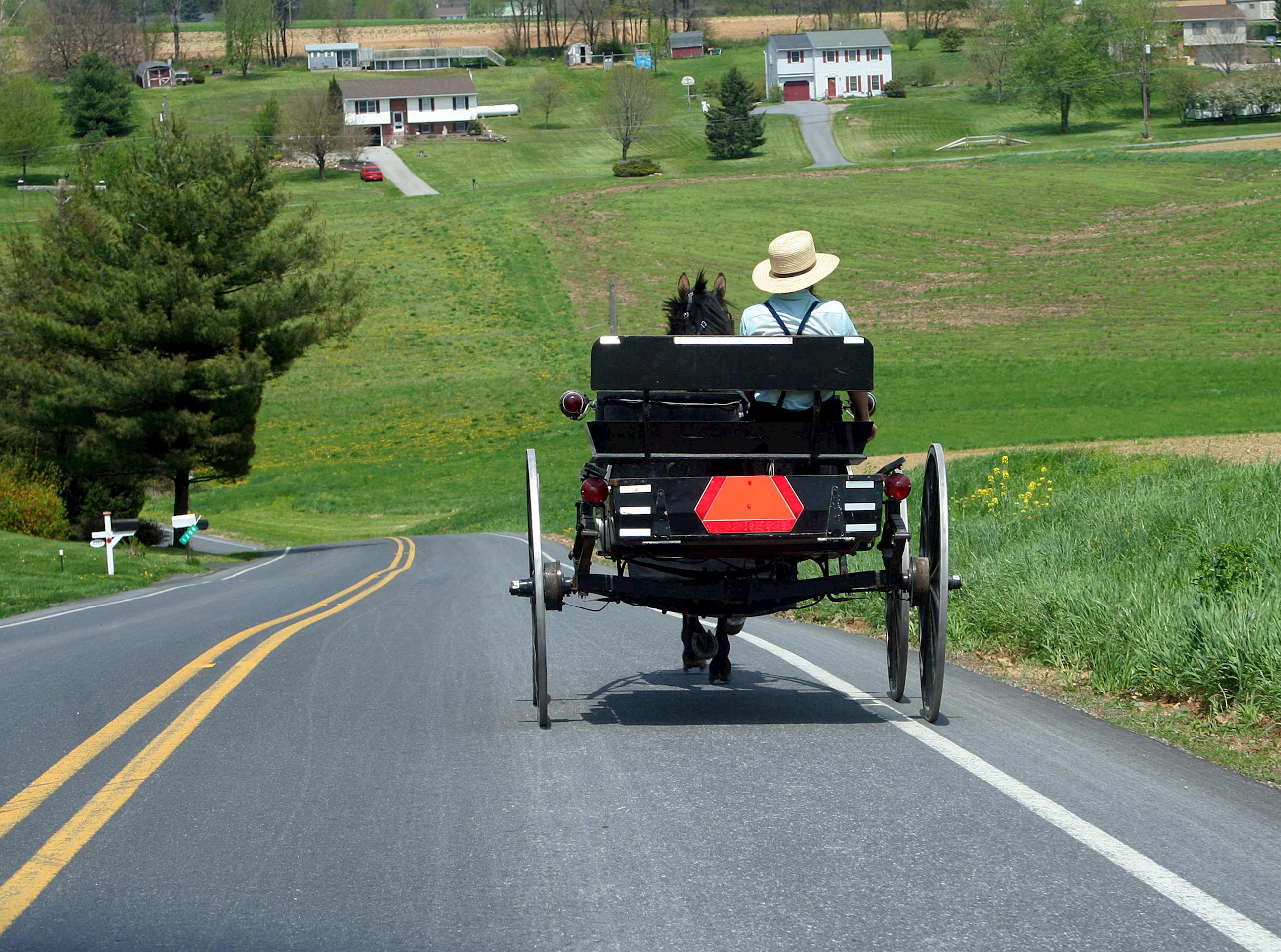 man-horse-cart-lancaster-county-usa.jpg