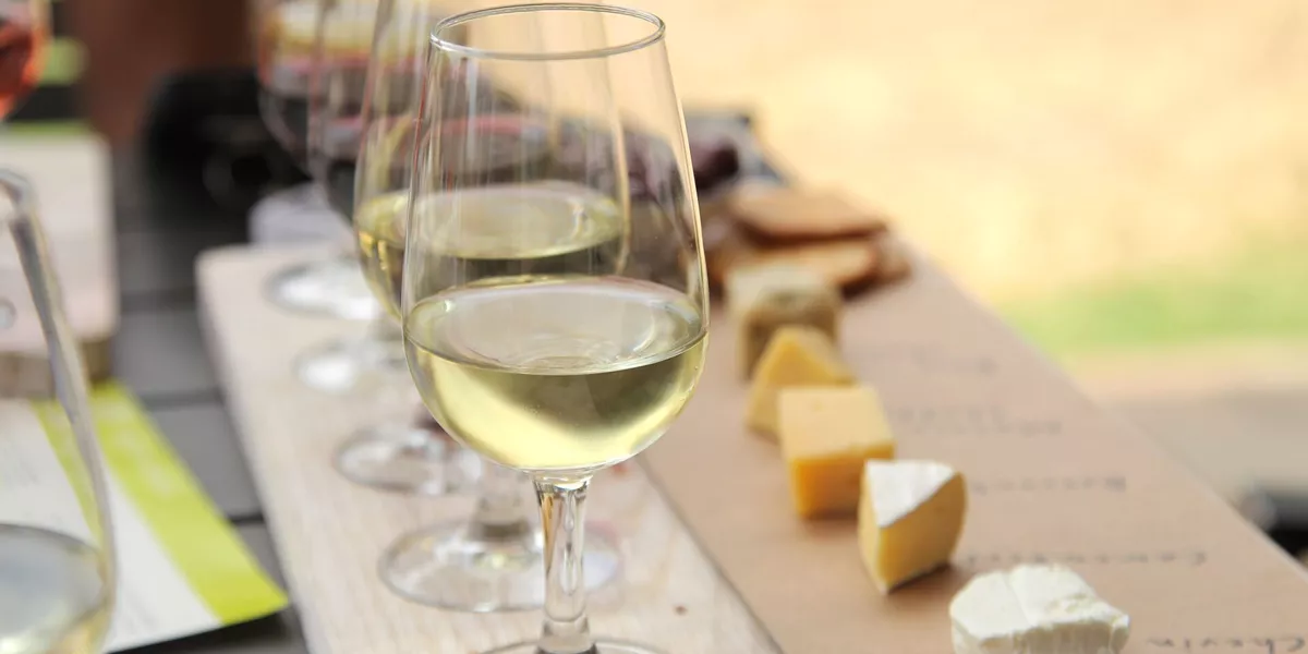 Glasses of wine and cheese during a wine and cheese tasting