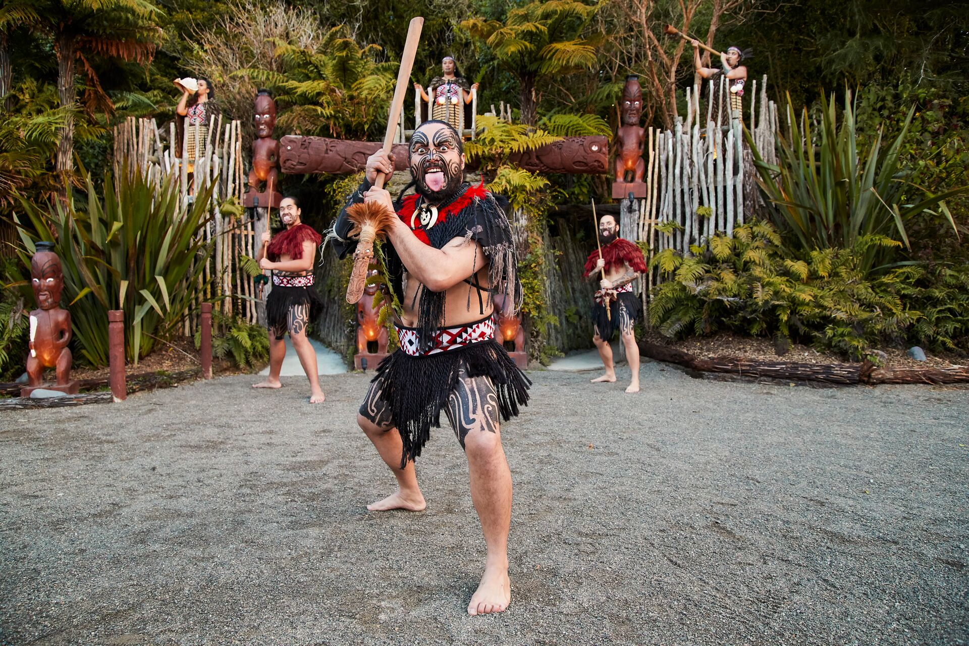 Maori Warriors Tamaki New Zealand