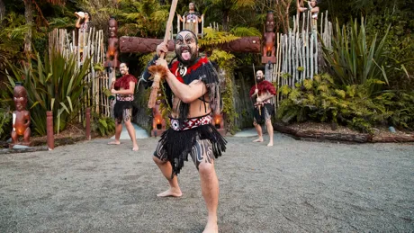 Maori Warriors Tamaki New Zealand