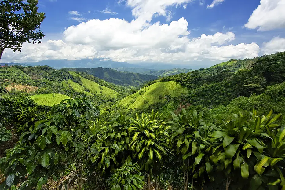 Costa Rica Mountains And Hillside Landscape Views