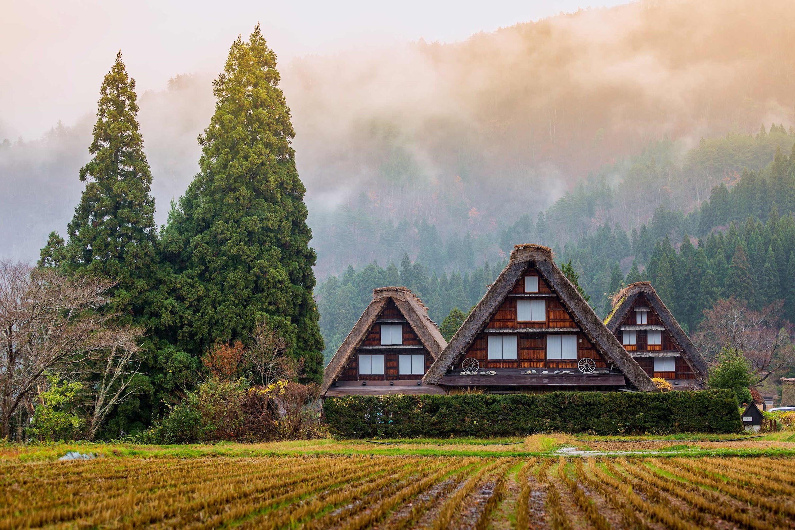 shirakawago-village-gokayama-japan.jpg